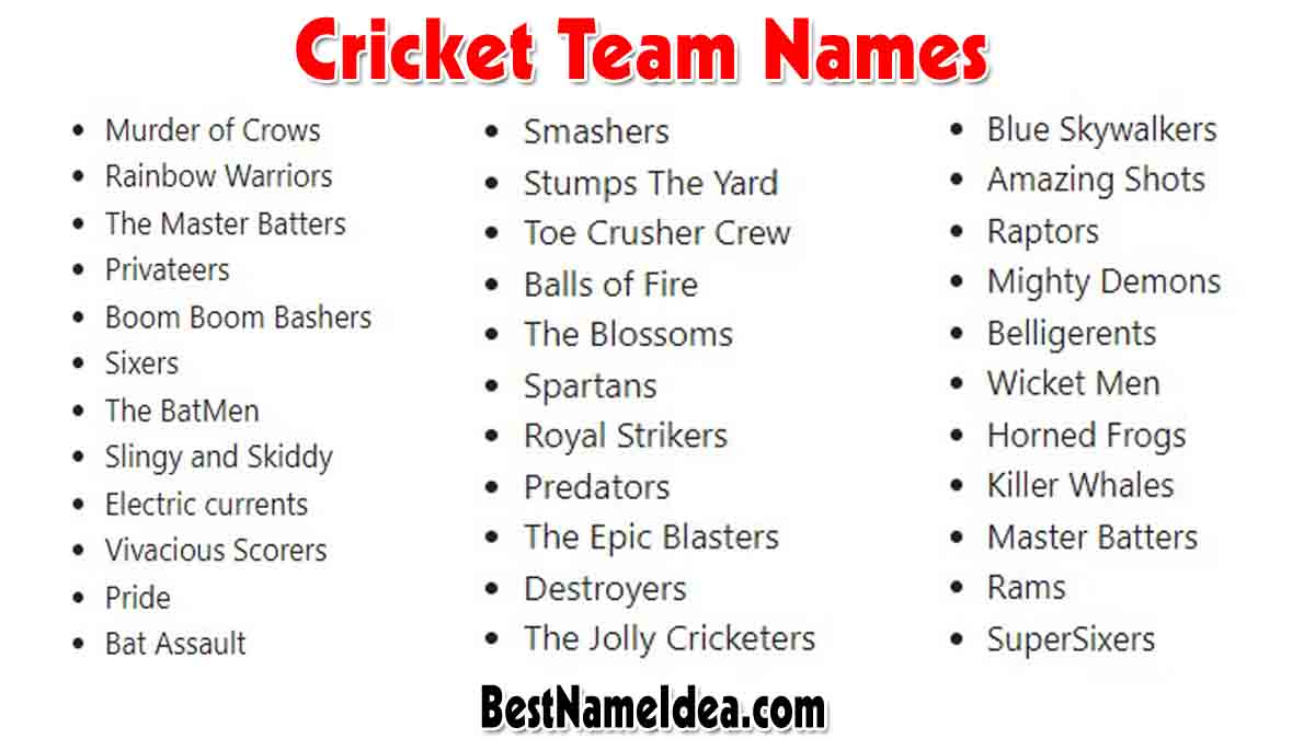 401 Catchy And Funny Cricket Team Names For Your Batting Squad‍ 9616