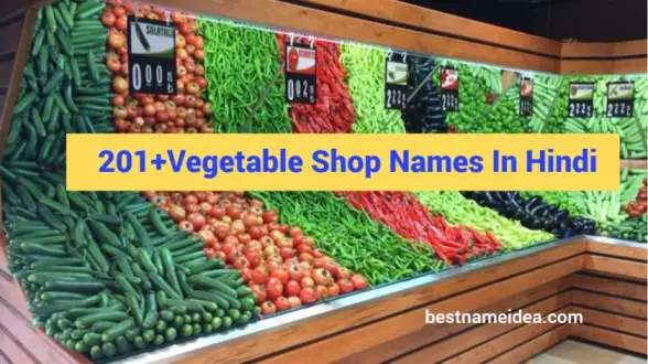 201+Vegetable Shop Names In Hindi