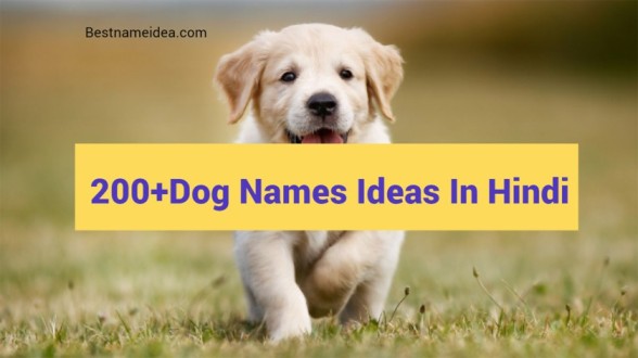 Dog-Names-Ideas-In-Hindi-.
