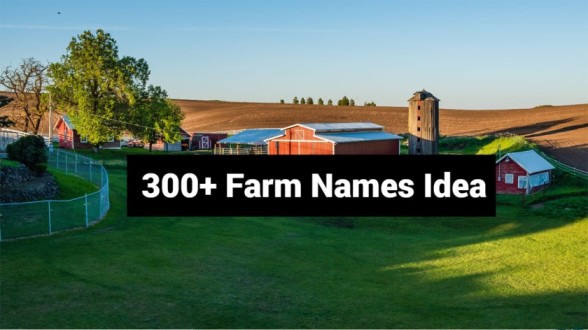 Farm Names Idea