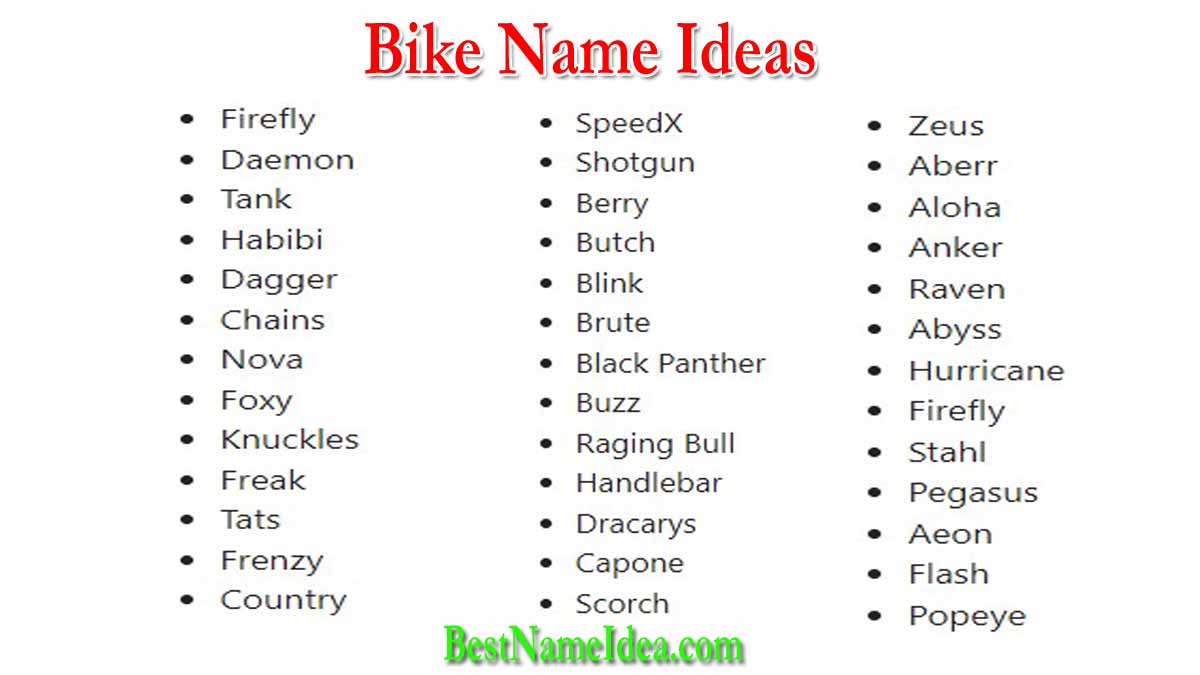 501 Unique Cool Stylish Cute Best Bike Names 2024 inch-technical-english-pictorial-bicycle-types