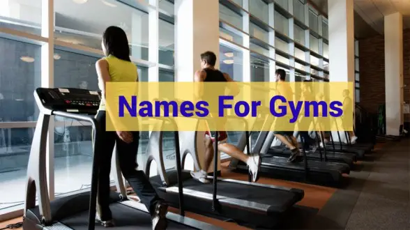 Names For Gyms
