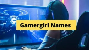 pro gamer names girl        <h3 class=