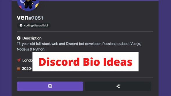 Discord Bio Ideas