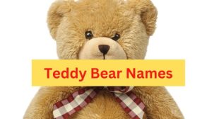 200+Teddy Bear Names