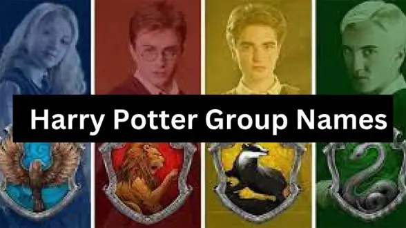 Harry Potter Group Names