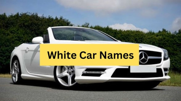 200-white-car-names-2024